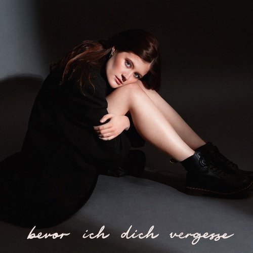 Bevor ich dich vergesse_poster_image