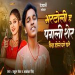 Bhartoli Ha Pagali Sher Paida Hole Ghare Ghare