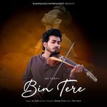 Bin Tere