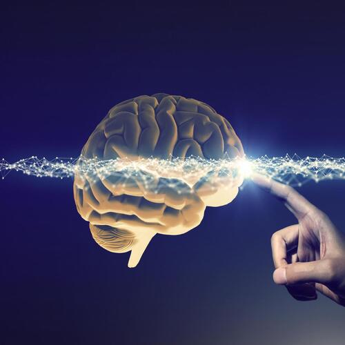 Brain touch
