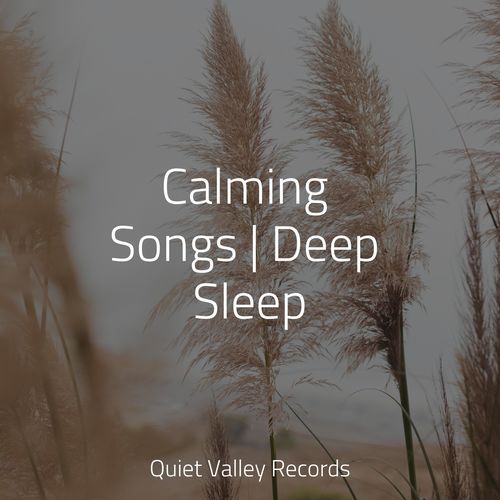 Calming Songs | Deep Sleep