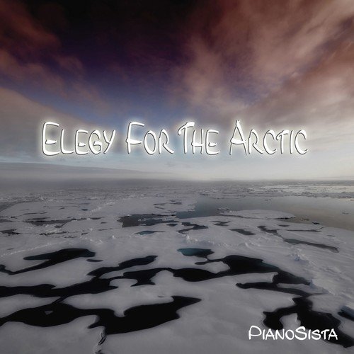 Elegy for the Arctic_poster_image