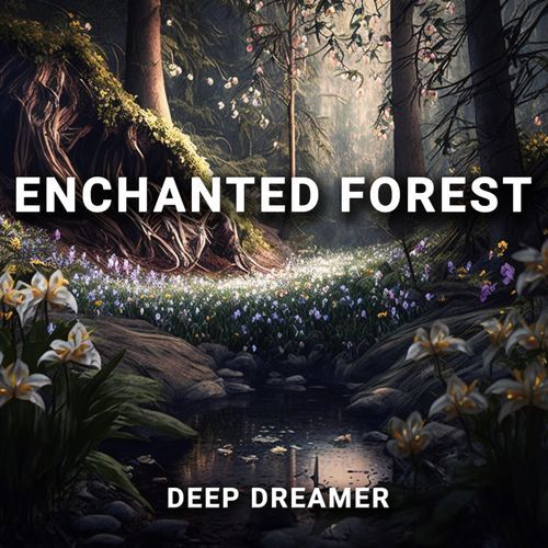 Enchanted Forest