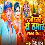 Goraki Se Hamare Taka Bhirda