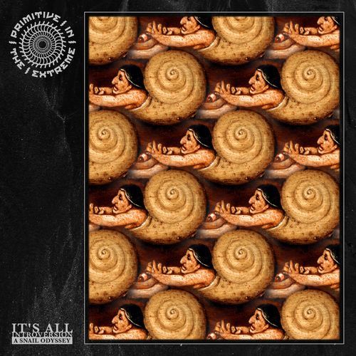It's All Introversion (A Snail Odyssey)