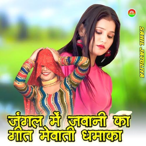 JUNGAL ME JAWANI KA GEET MEWATI DHAMAKA