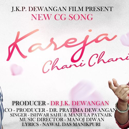 Kareja chani chani