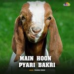 Main Hoon Pyari Bakri