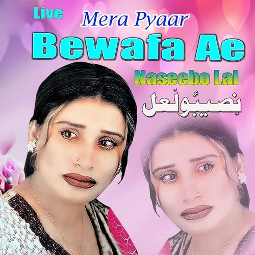 Mera Pyaar Bewafa Ae (Live)