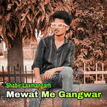 Mewat Me Gangwar