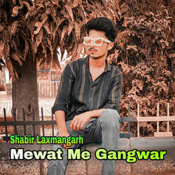 Mewat Me Gangwar-NVglQE1zdmA