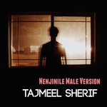 Nenjinile (Male Version)