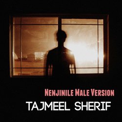 Nenjinile (Male Version)