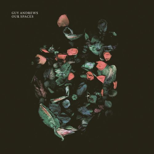 Without Names cover art