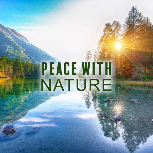 Peace with Nature: Unleash Your Delicacy with Soft Piano and Nature Sounds