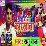 Rajaji Rangi Karkhana