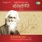 Raviragini 3 - Vol. 3