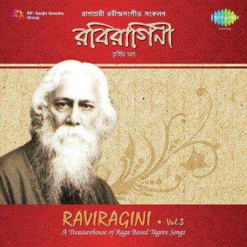 Raviragini 3 - Vol. 3