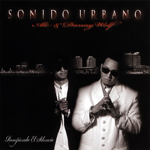 Rompiendo El Silencio