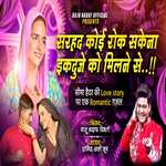 Sarhad Koi Rok Sakena Ek Duje Ko Milne Se