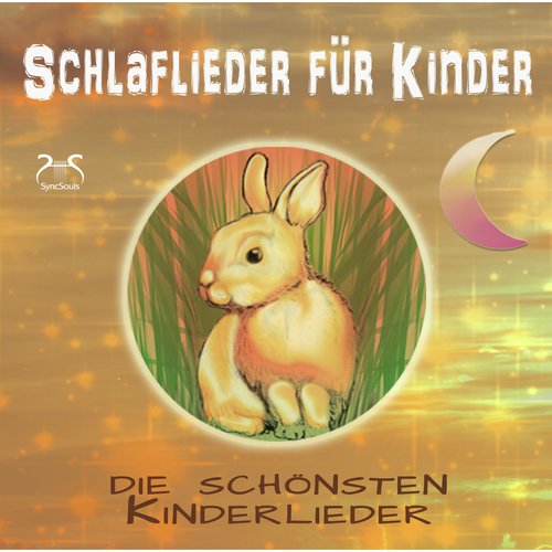 Schlaflieder für Kinder - Die schönsten Kinderlieder_poster_image