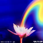 Self Care (The Knocks Remix)