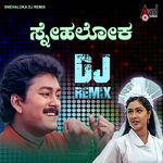 Titanic Heroine DJ Remix (DJ Remix)