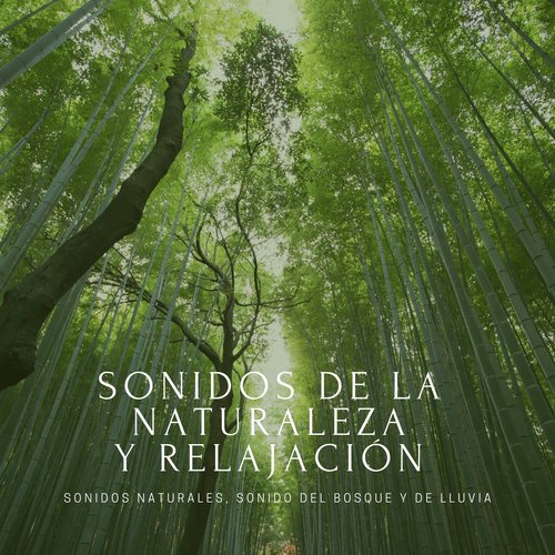 Sonidos de la Naturaleza cover art
