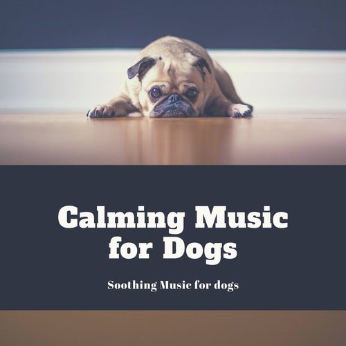 Music for sales dogs home alone