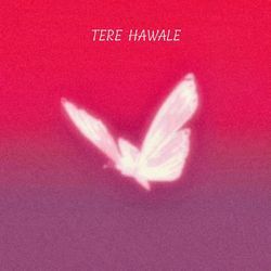 Tere Hawale.-KgY0c01JZFs