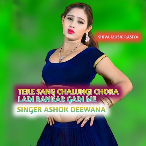 Tere Sang Chalungi Chora Ladi Bankar Gadi Me