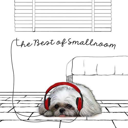 The Best Of Smallroom