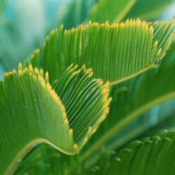 The Oblivion Sanctuary