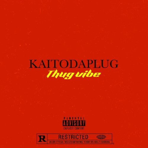 Thug Vibe cover art