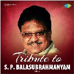 Main Tum Men Sama Jaoon (From "Raaste Pyar Ke")