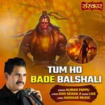 Tum Ho Bade Balshali