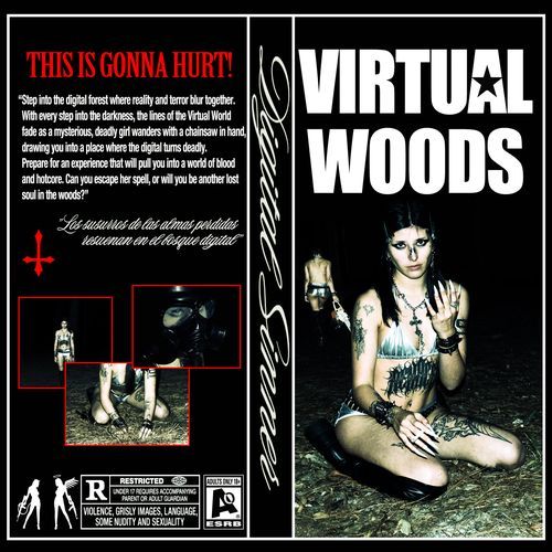 Virtual Woods!_poster_image