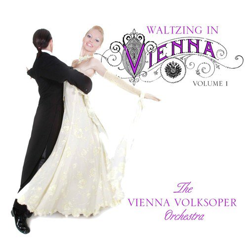 Waltzing In Vienna, Vol. 1