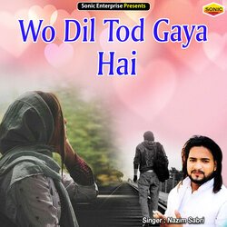 Wo Dil Tod Gaya Hai (Ghazal)-AyBaSCRhYlg