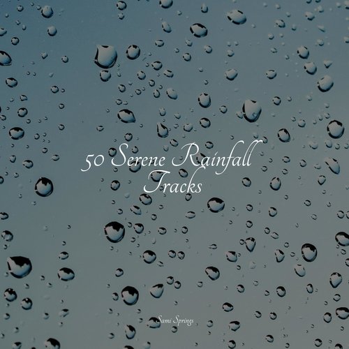 50 Serene Rainfall Tracks