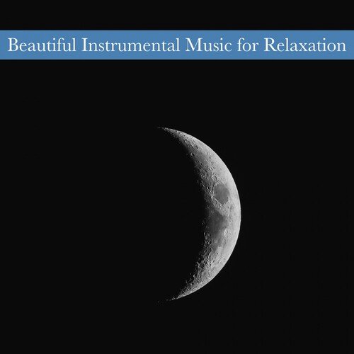 Dormir Mucho (Original Mix) cover art
