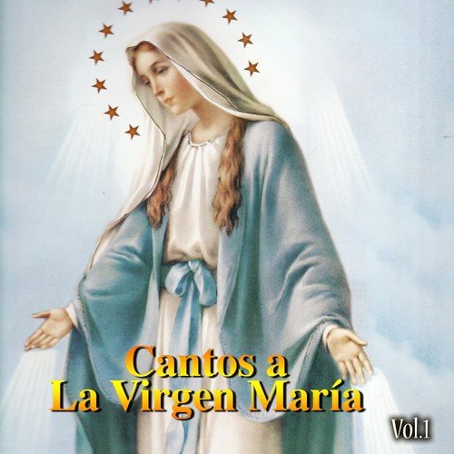 Álbumes 102 Foto Los 10 Mejores Cantos A La Virgen Maria El último