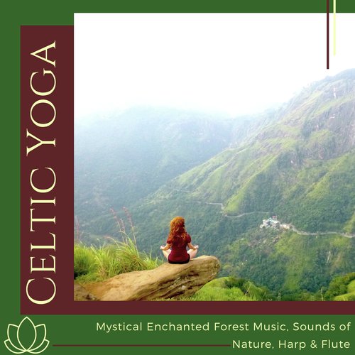 Calm Dream Collection cover art