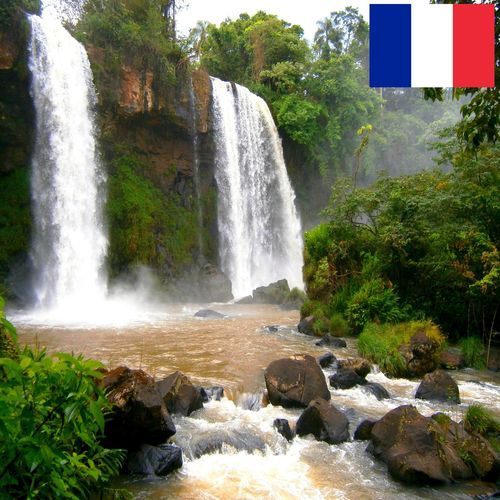 Chute d'Eau dans une Forêt Tropicale