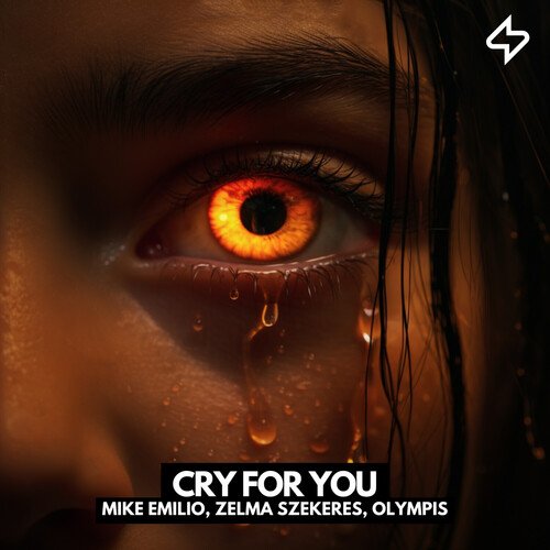 Cry For You_poster_image