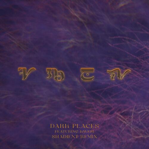 Dark Places (Shadient Remix) cover art