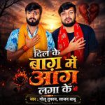 Dil Ke Bag Me Aag Laga ke artwork