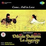 Dilwale Dulhania Le Jayenge_poster_image