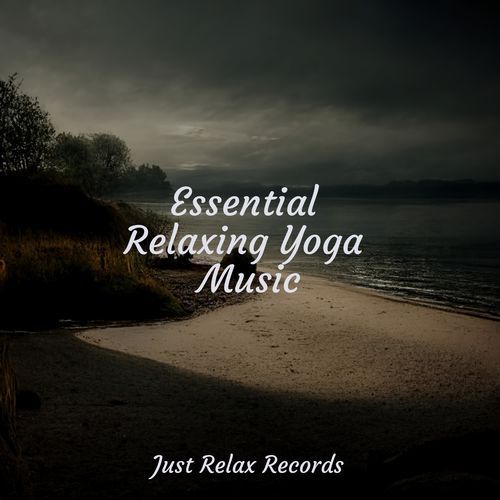 Essential Relaxing Yoga Music_poster_image