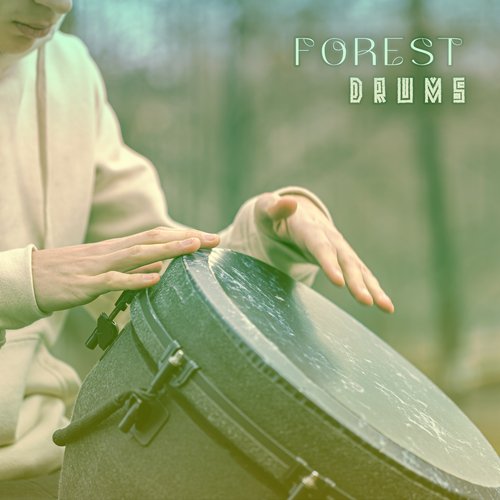 Forest Drums: Indigenous Spirits of the Woods with Shamanic Instrumental Music